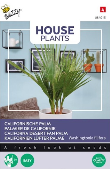 Washingtonia filifera (petticoatpalm) 8 zaden
